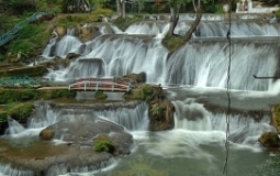 thumbs_polw_content_image1